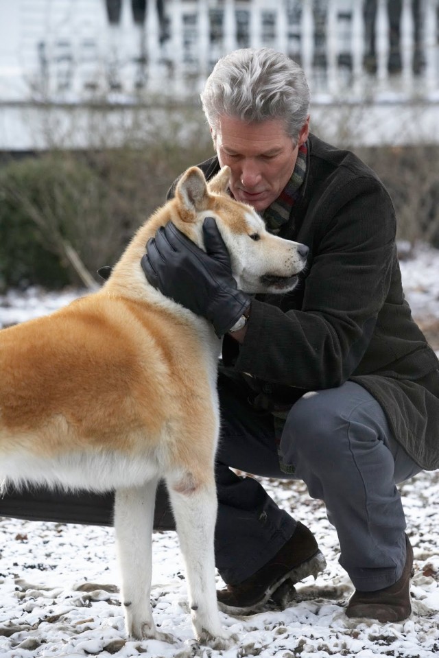 Hachi: Bir Köpeğin Hikayesi Fotoğrafı