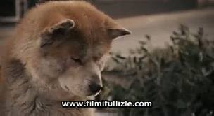 Hachi: Bir Köpeğin Hikayesi Fotoğrafı