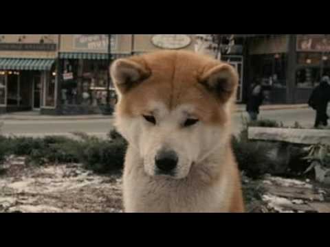 Hachi: Bir Köpeğin Hikayesi Fotoğrafları 6