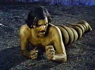 The Worm Eaters Fotoğrafı