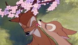 Bambi Fotoğrafı