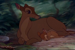 Bambi Fotoğrafı