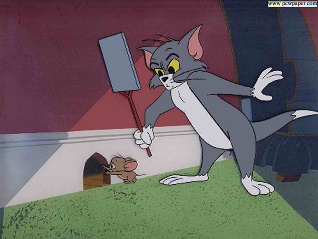 Tom ve Jerry Fotoğrafı