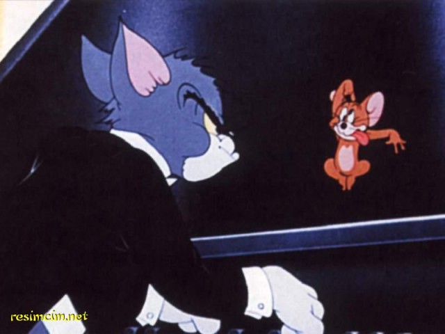 Tom ve Jerry Fotoğrafları 16