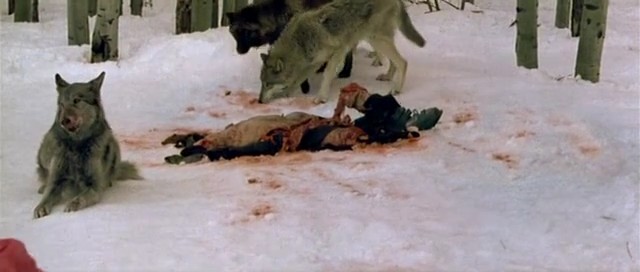 Frozen Fotoğrafı