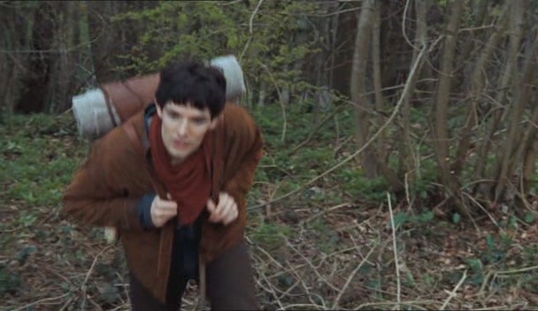 Merlin Fotoğrafı