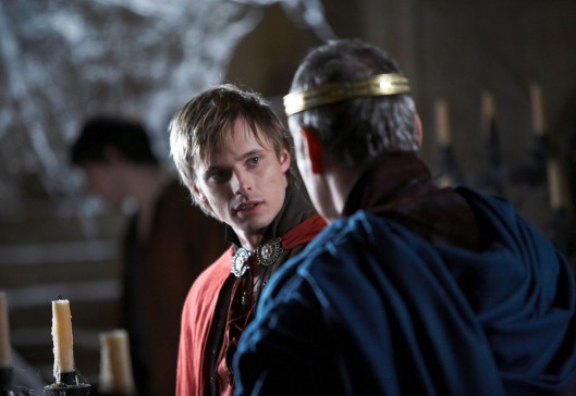 Merlin Fotoğrafı