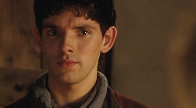 Merlin Fotoğrafı