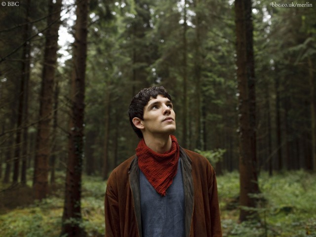 Merlin Fotoğrafı