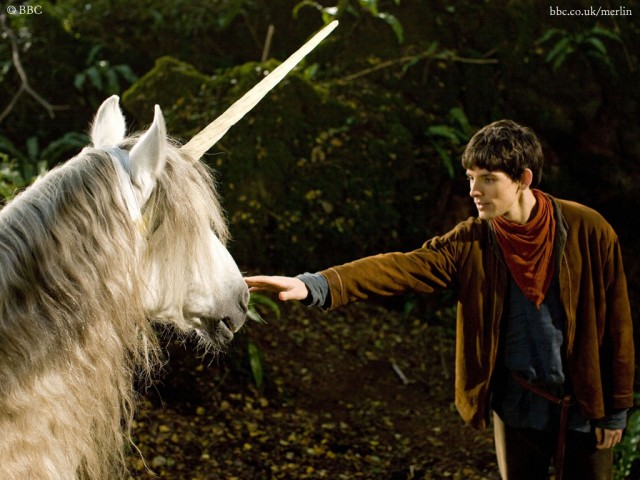 Merlin Fotoğrafı