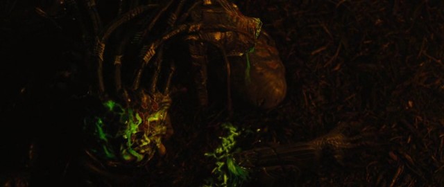 Predators fotoğrafı