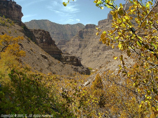 Issız Kanyon fotoğrafı