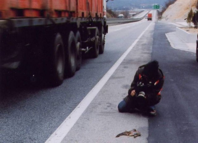 One Day On The Road Fotoğrafları 5