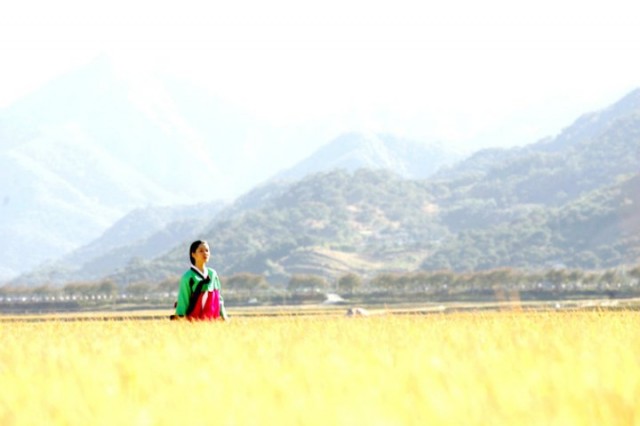 The Land Fotoğrafı