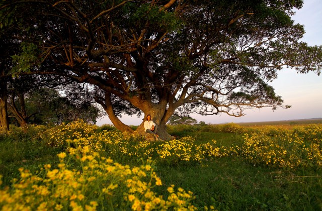 Northeast Fotoğrafları 4