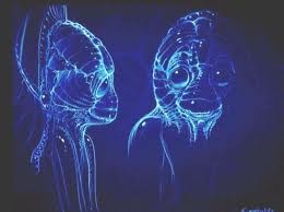 Derinlik Sarhoşluğu Fotoğrafı