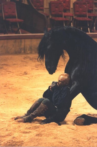 Mazeppa fotoğrafı