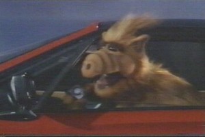 Alf Fotoğrafları 4