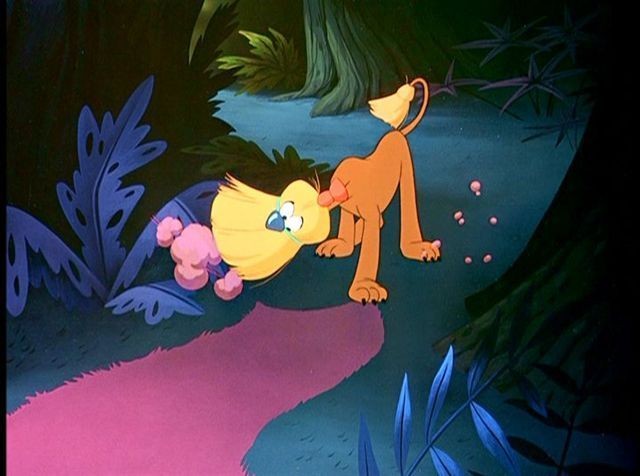 Alice Harikalar Diyarında Fotoğrafı