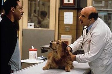 Dr. Dolittle Fotoğrafları 3