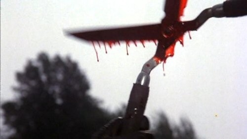 The Burning Fotoğrafı