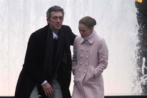 Siyah Kuğu Fotoğrafı