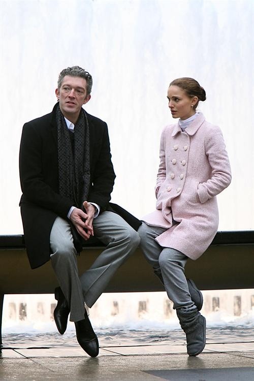 Siyah Kuğu Fotoğrafı