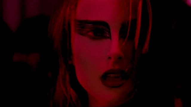 Siyah Kuğu Fotoğrafı