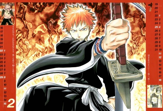 Bleach Fotoğrafları 31