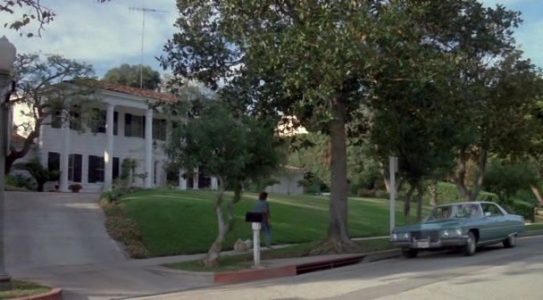 Sürücü Ehliyeti Fotoğrafı