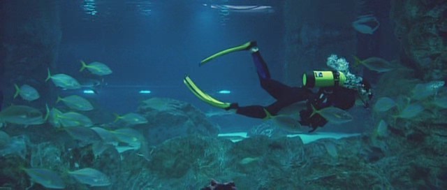 İntikam Meleği Fotoğrafı