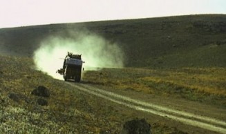Yara Fotoğrafı