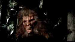 Howling ıı: Stirba - Werewolf Bitch Fotoğrafları 1