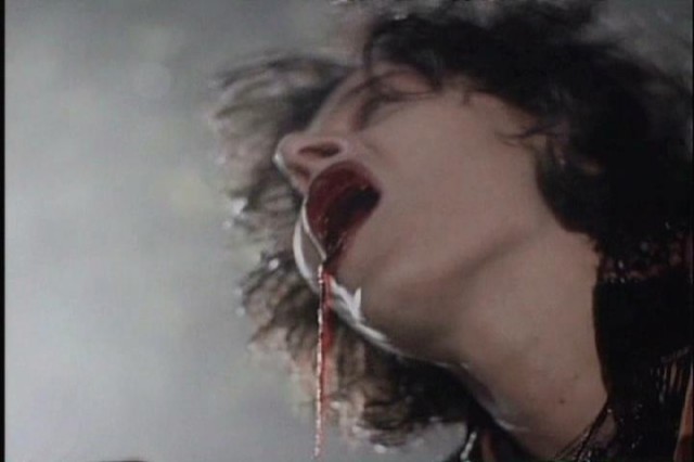 Vampire Journals Fotoğrafı