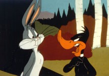 Porky & Daffy Fotoğrafları 3