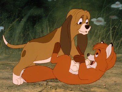 Tilki Ve Avcı Köpeği Fotoğrafı