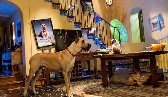 Marmaduke Fotoğrafı