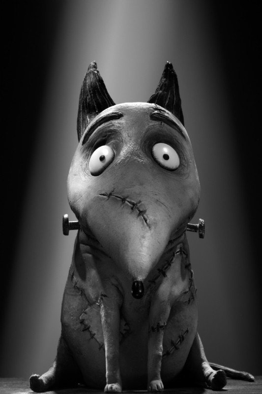 Frankenweenie Fotoğrafları 6