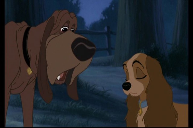 Lady And The Tramp II: Scamp's Adventure Fotoğrafları 12