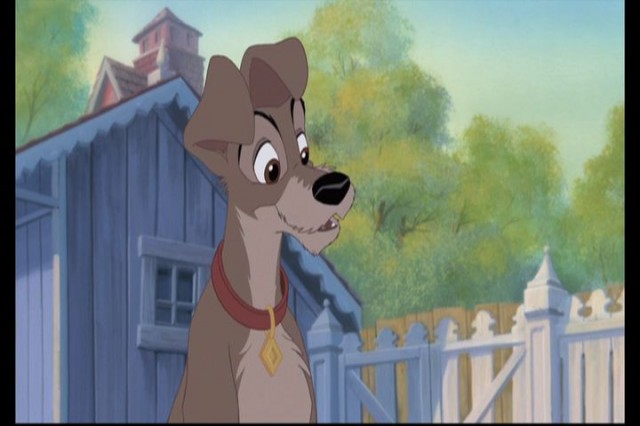 Lady And The Tramp II: Scamp's Adventure Fotoğrafı
