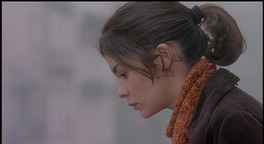 Bir Kelebeğin Kanat Çırpışı Fotoğrafı