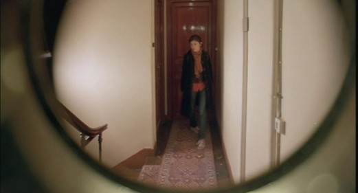 Bir Kelebeğin Kanat Çırpışı Fotoğrafı