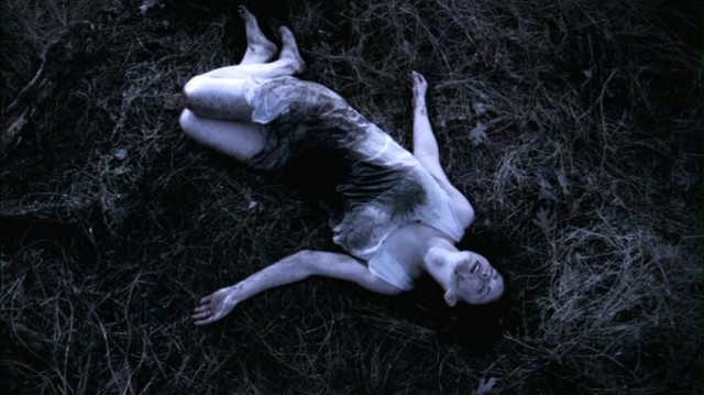 The Attic Fotoğrafı