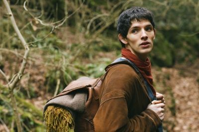 Merlin Fotoğrafı