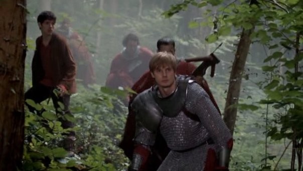 Merlin Fotoğrafı