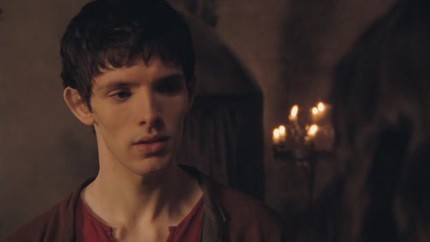 Merlin Fotoğrafı