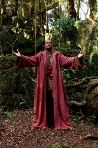 Merlin Fotoğrafı
