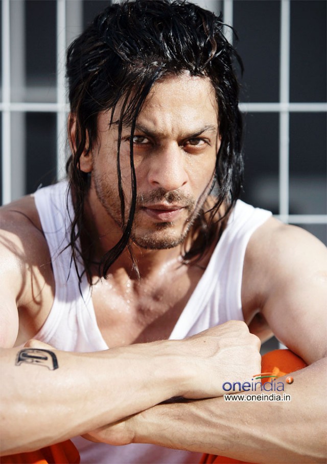 Don 2 Fotoğrafı