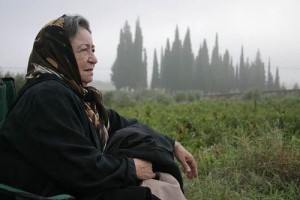 Yumurta Fotoğrafı