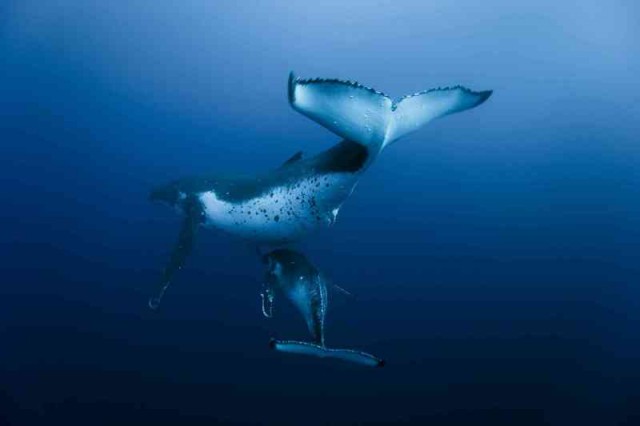 Oceans Fotoğrafı